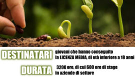 Operatore agricolo – Ind. 2: Coltivazioni arboree, erbacee e ortofloricole