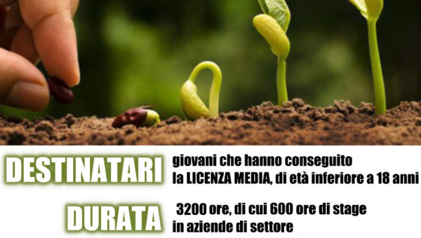 Operatore agricolo – Ind. 2: Coltivazioni arboree, erbacee e ortofloricole